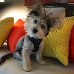 Sylvia Mae Hammond Barr - @sylvia_mae_hammond - Instagram