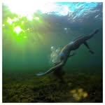@s.maeharmon - Instagram