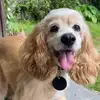 Mae Harrison - @mae.harrison1983 - TikTok