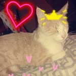MaeHaylie Buckley - @maehaylieb14 - Instagram
