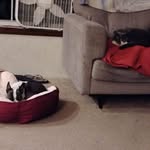 Katie Mae Hebert - @khebert9909 - Instagram