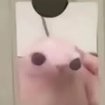 Maël Hebert - @mael.hebert20 - Instagram