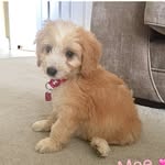 Popsy-Mae Helm - @popsymae - Instagram