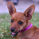 Daisy Mae Hendrix - @lilsweetdaisymae - Instagram