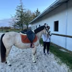 Maé Henry - @compte_poney_16 - Instagram