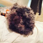 Daisy Mae Hester - @daisymeahester_37 - Instagram