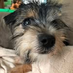 Wrigley Mae Hester - @wrigleymae - Instagram