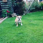 ellie-mae-hicks - @xx_ellie_hicks_xx - Instagram