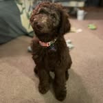 Ella Mae Hines - @ellamae0721 - Instagram