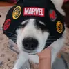 stalker account - @mae_hines - TikTok
