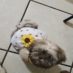 Minnie Mae - @minnie_mae_holbrook - Instagram