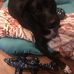 Mae Holden - Facebook