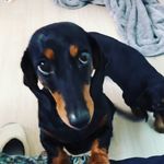 Jay - @mae_hong_canada - Instagram
