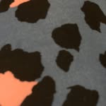 Violena Mae Houck - @violenamae - Instagram
