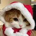 Riza Mae Hoyle - Facebook