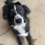 Molly Mae Hubbard - @mollymaeadventures - Instagram