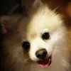 mistymaehuber - @mistymaehuber - TikTok