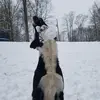 Ellie Mae Huggins - @duh_itz_ellie_mae - TikTok