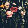 maehurley21 - @maehurley21 - TikTok