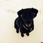Sadie Mae Ingram 🐾 - @xsadieingram - Instagram