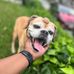 Mae Jenkins - Facebook