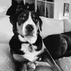 Mae - @.maejohnson - TikTok