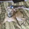 🔥justice mae🔥 - @justice.mae.2021 - TikTok