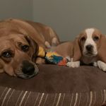 @kramer_sadie_mae - Instagram