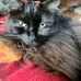 Mae Kramer - Facebook
