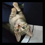 Mae Lam - Facebook