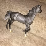 Mae Lamb - @horsegirlmel - Instagram