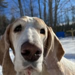 Annie Mae Lefebvre - @adventures_of_annie_mae - Instagram