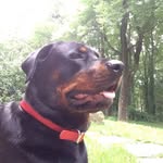 Jeanne Licari - @ada_mae_lovelace - Instagram