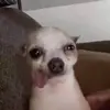 marionmae - @marionmae3 - TikTok