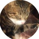 Lilly-Mae Mccartney - @tropical_basket_of_fruit - Instagram