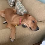 Maggie Mae McDaniel - @maggieandthemcdaniels - Instagram