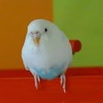 Samantha Mae McDowell - @samae3 - Instagram