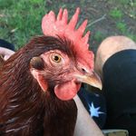 Edna Mae McGee - @edna_mae_mcgee - Instagram