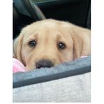 Maggie Mae McGee - @maggiemae_mcgee - Instagram