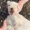 maggie.mae.mcguire20 - @maggie.mae.mcguire2018 - TikTok