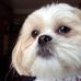 Mae McIntyre - Facebook
