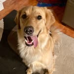 @mille_mae_mcmahon - Instagram