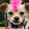 missDaisyMaeMcNabb - @missdaisymaemcnabb - TikTok