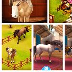 Mae Meadows - @horsehavenandback - Instagram