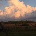 Mae Meadows - @maemeadowsfarm - Instagram
