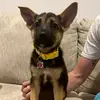 staceymetz1 - @maggie.mae.metz - TikTok