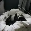 gracie - @graciemaemeyer - TikTok