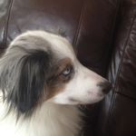 Maggie Mae Meyer - @meyermaemaggir - Instagram