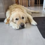 Maé Méza - @mezamae2013 - Instagram
