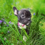 Milton Mae - @milton_mae_ - Instagram